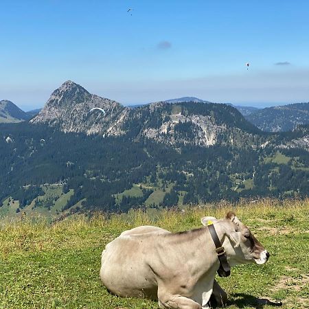 Mountain Moments Tannheim - Familie Weber Lägenhet Exteriör bild